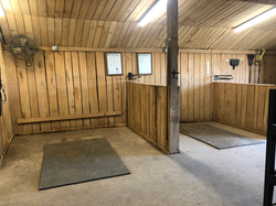 E8E6F8D8-E2C5-4E2E-828F-FFD978E37C4DIMG_3295