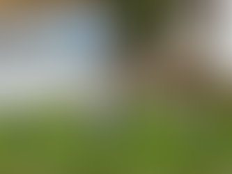 Skeleton decorations on green lawn