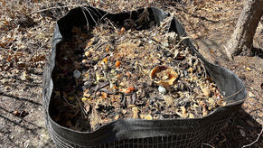 Personal compost pile.