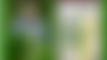 Self-sufficient Culinary Exploration with the Forager Chef