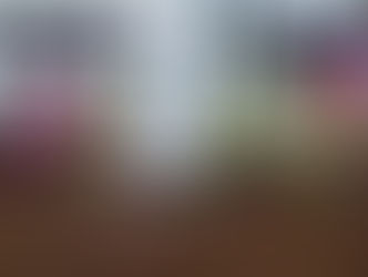 Aquaponics 101: Growing Plants and Fish Together