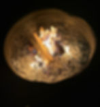 Burning logs in a campfire ring surrounded by evening darkness.