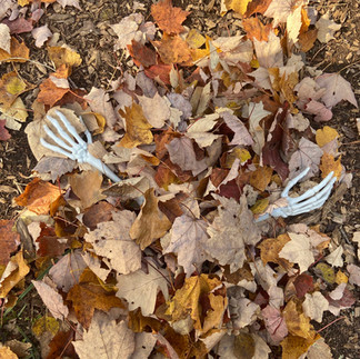 Skeleton hands out of leaves
