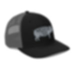 Thumbnail: Trucker Cap