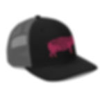 Thumbnail: Trucker Cap