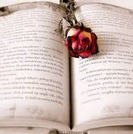 Tradução literária 2.jfif