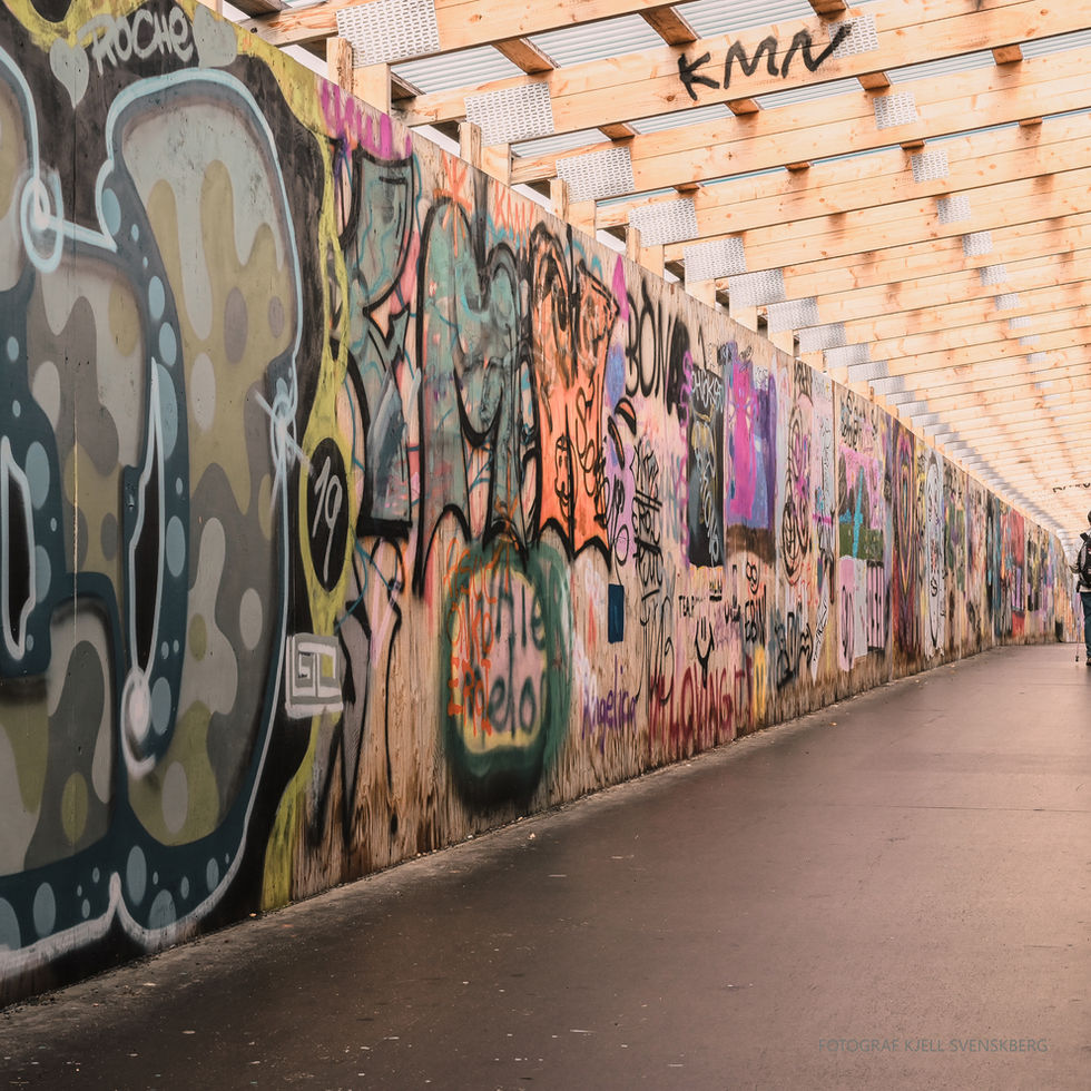 DSC_8336 - kopia.jpg