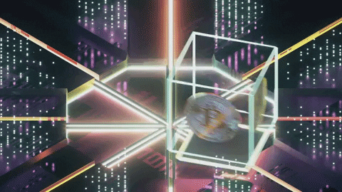 cripto4.gif