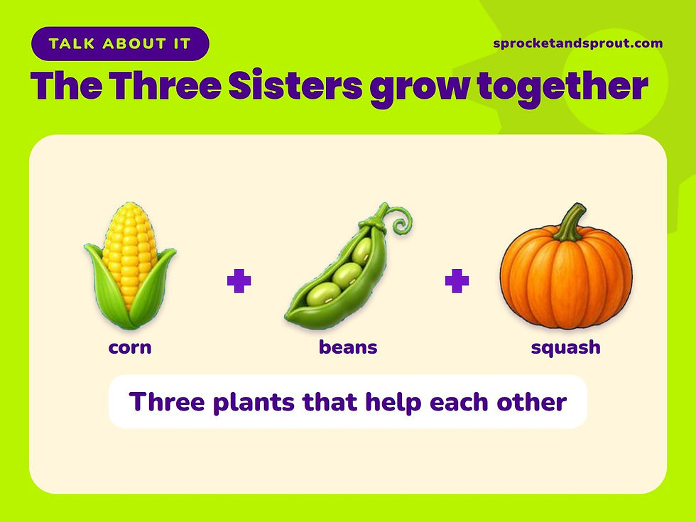 Illustration of the Three Sisters: corn, beans and squash
