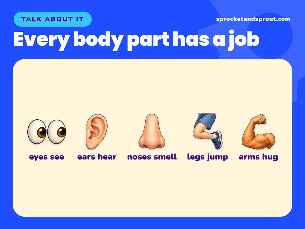 Illustration of eyes, an ear, a nose, a leg and an arm, each labeled with its job