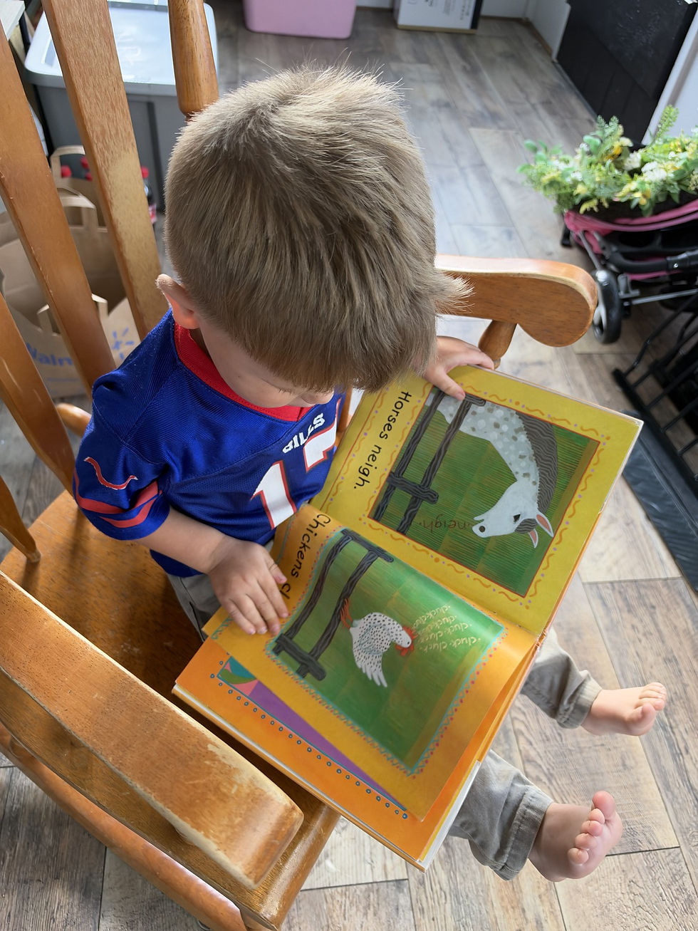 Toddler looking at the horse and hen pages in Mice Squeak, We Speak