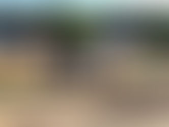 Similkameen Trailhead Cleanup -- TOI and PNW Trails