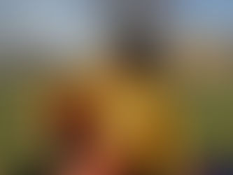 Why I Love Parks in Vienna So Much?