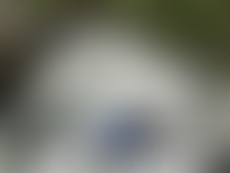 Refúgio Natural para Apaixonados por campings em Côrtes na Mata Sul