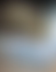 Die Welt von Edra bei Bornhold