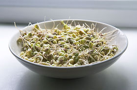 Bowl of Grains