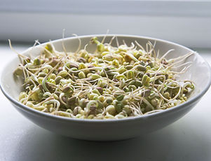 Bowl of Grains