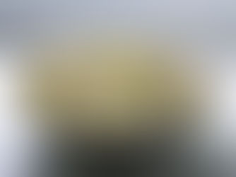 Comment faire germer la santé ?