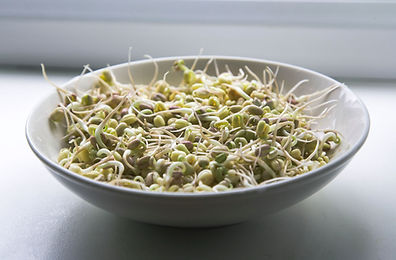 Bowl of Grains