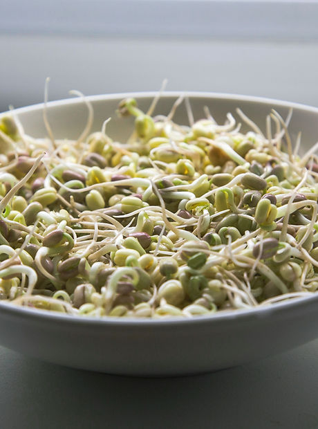 Bowl of Grains