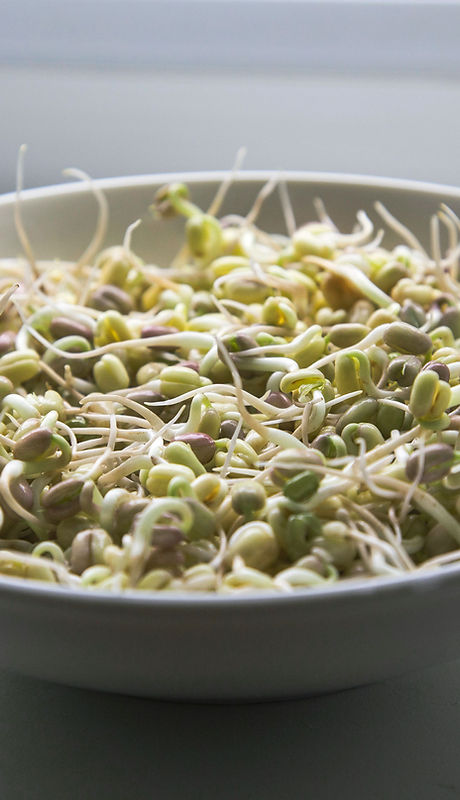 Bowl of Grains