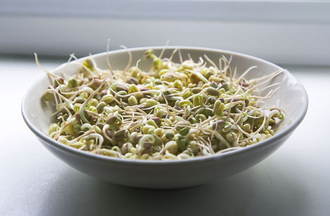 Bowl of Grains