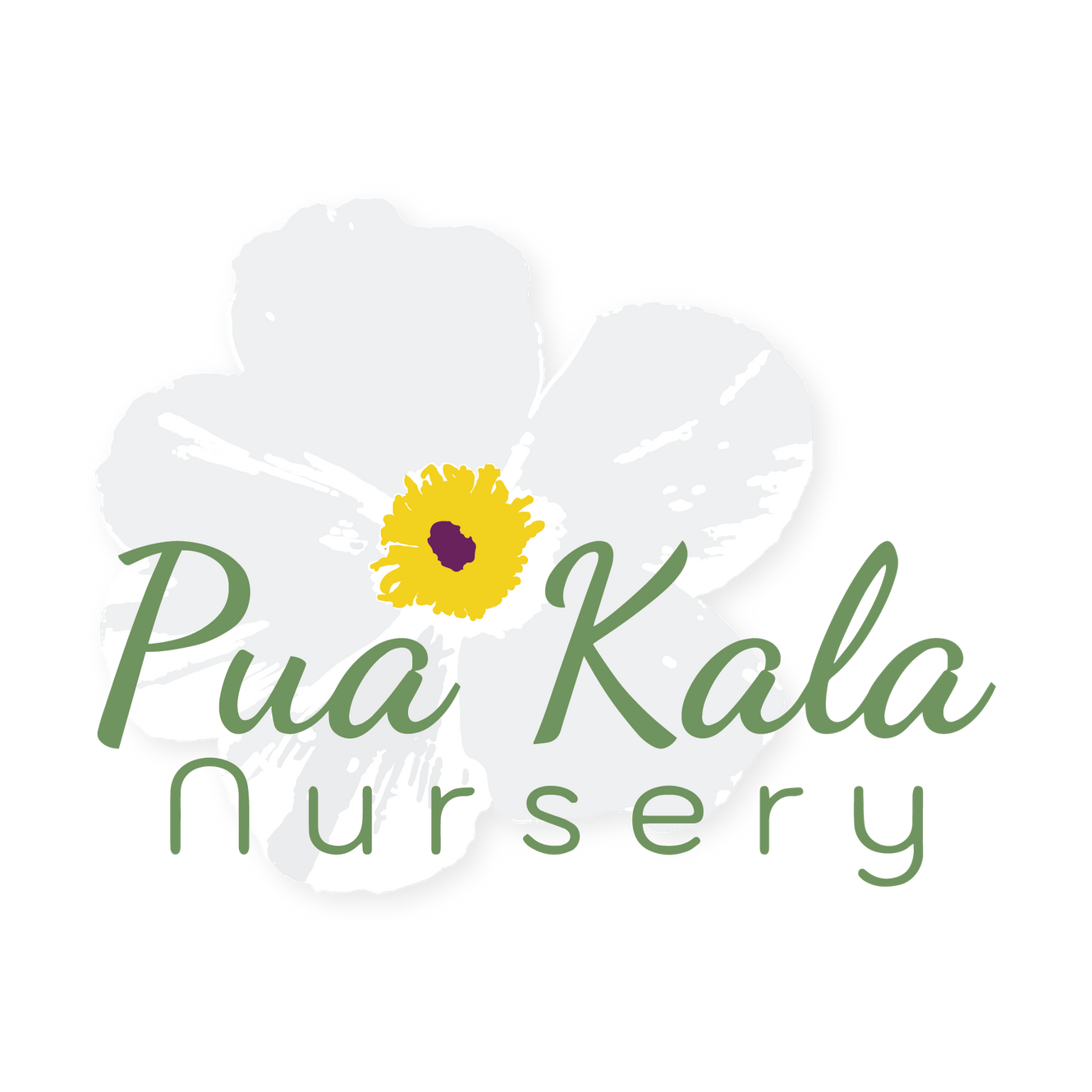 Pua Kala Nursery - Horse Riding Field in Kailua Kona