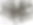 Hualalai Fern Background.png