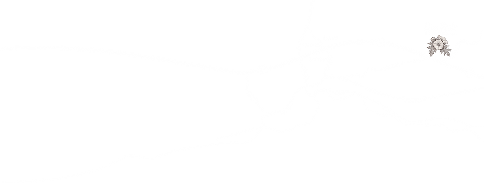 Map_edited.png