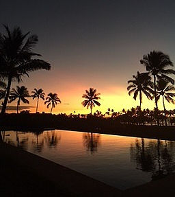 Palm trees and an orange sunset reflect on the surface of an infinity pool at dusk.