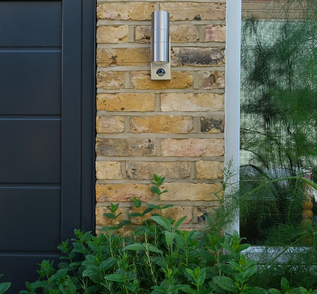 Hackney Garden
