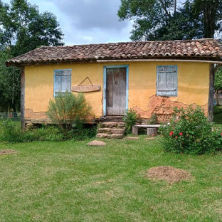 Mini Conto: um amigo passeando pelo Bosque