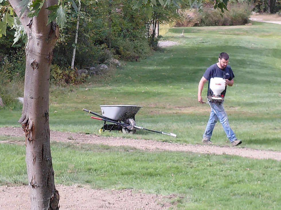 Worker walking across lawn with spreader, wheelbarrow and tools nearby, seeding or fertilizing repaired areas