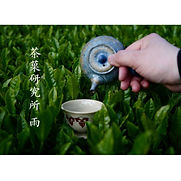 66BF8587-9590-4F28-9CF5-8B094C70F4C7.JPG