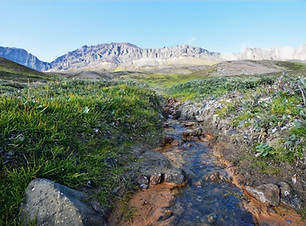 Ataa River_DSC_6308_1000px_edited.jpg