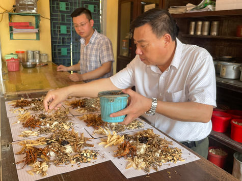 Vietnam Oriental Medicine - Journey to conquer human heart