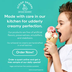Scoop Shoppe – Social Media Ad Design