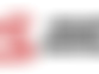 Brainerd Intl Raceway Logo