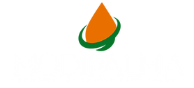 Modipalma - Logo - White.png