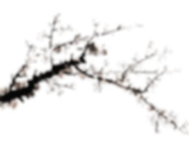 hnet.com-image (4).png