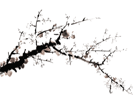 hnet.com-image (4).png