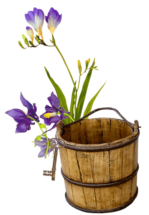 hnet.com-image (4).png
