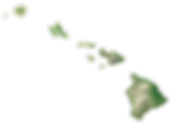 hnet.com-image (2).png
