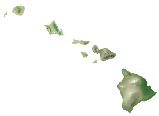 hnet.com-image (2).png