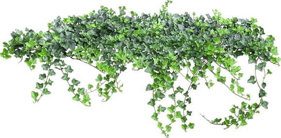 kisspng_vine_animati_W8vM2.png