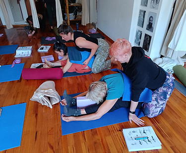 100hours yin yoga teachers training course hands on assists and anatomy