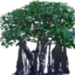 hnet.com-image (5).png