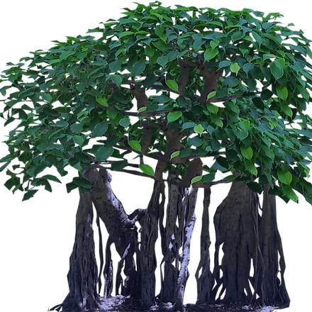 hnet.com-image (5).png
