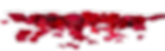 hnet.com-image (5).png