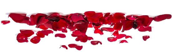 hnet.com-image (5).png